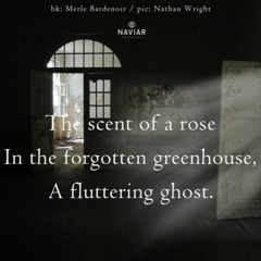 Ghost Of A Rose (naviarhaiku483)