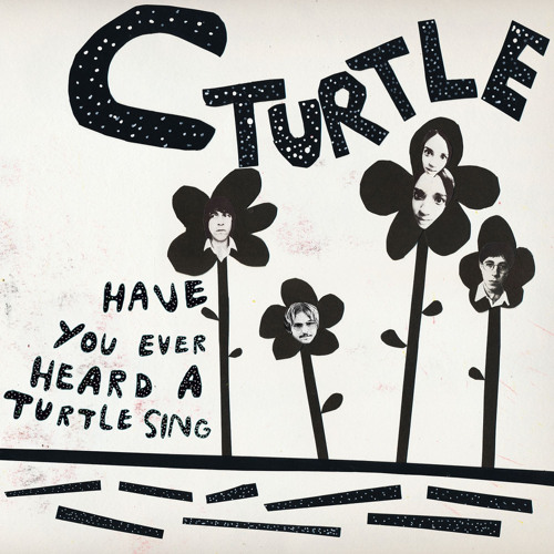 C Turtle - Have You Ever Heard A Turtle Sing?