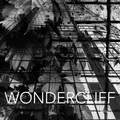 Wondercliff - Concrete Jungle