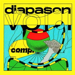 Twoonky "Palle" - Diapason comp. Vol. 1 - Sameheads C60 Series