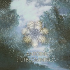 Antoine / Utblomning