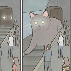 throughout, underneath (with 琳琳)