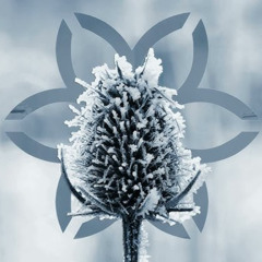 Maykors - Frozen Life