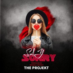 Say Sorry - The Projekt - Official Audio