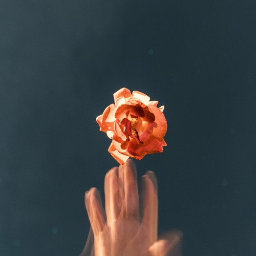 You Are The One