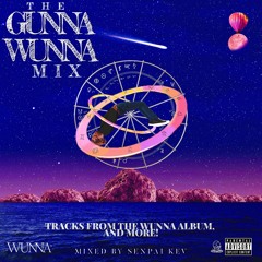 THE GUNNA WUNNA MIX