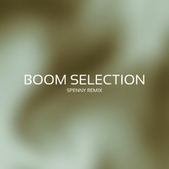 Boom Selection - Spenny Remix (FREE DL)