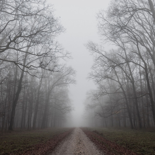 Untitled playlist