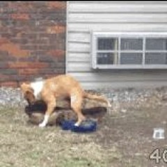 s h i t  c h a n g e d