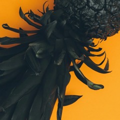 Lika Morgan - Feel The Same (SurfAir Remix)