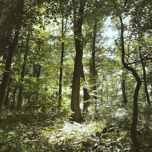 light passing through