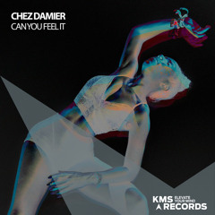 Chez Damier - Can You Feel It (MK New York Dub)