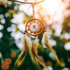 The Inner Light