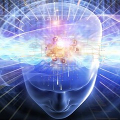 Stimulate 1.0
