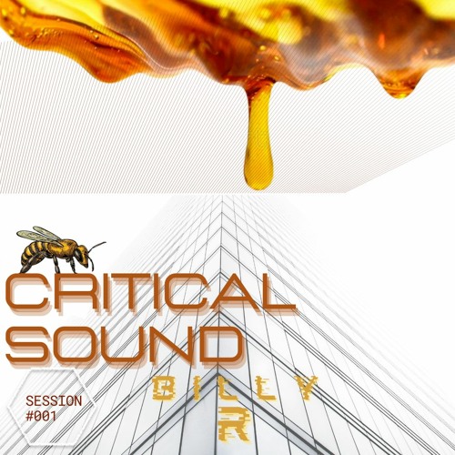 Session #001 - Billy R