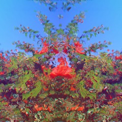 Creme Supreme x Hidden Hills x SCHADED Music - Lovely Saturday Drive