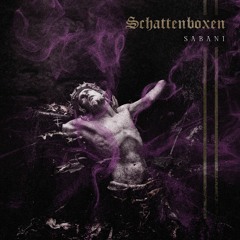 SABANI - SCHATTENBOXEN EP [KN007]