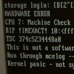 Exception (Machine Check)