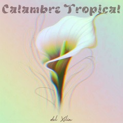 CALAMBRE TROPICAL Vol.1
