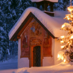 WINTERTEK0.1