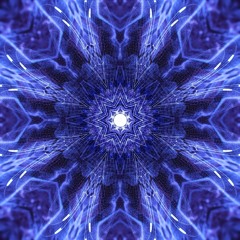 Morphogenetic Fields