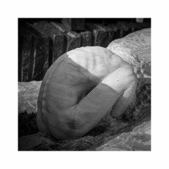 새벽빛 (Cover)