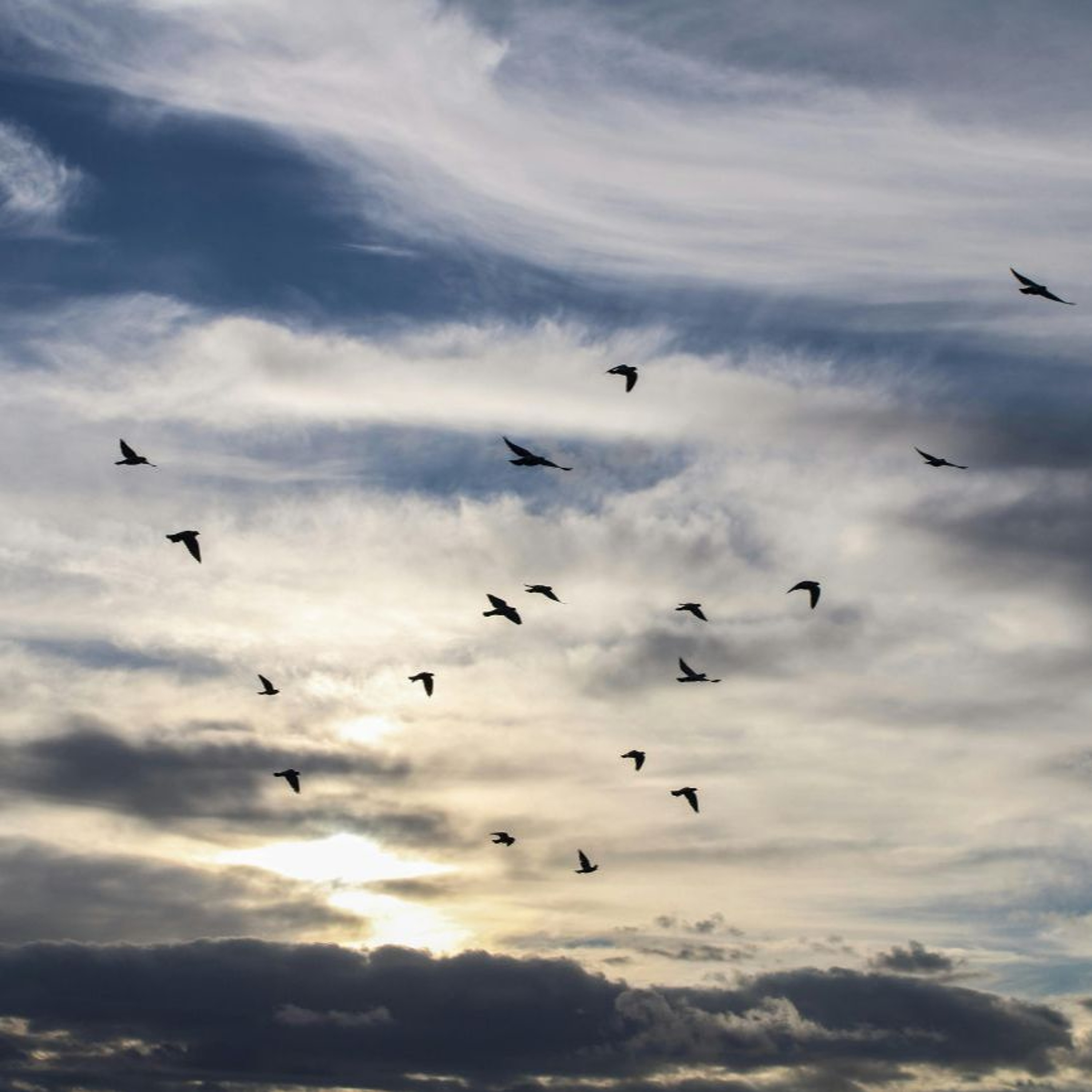 Best of Awake in the World: Clouds in the Sky