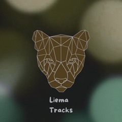 TRACKS (still learning, feedbacks welcome)