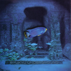 Yanbaru Birdcall