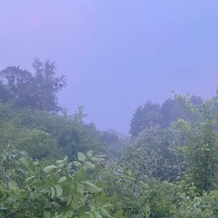 delightful otherworld