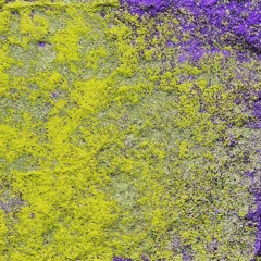 PLANTS OF