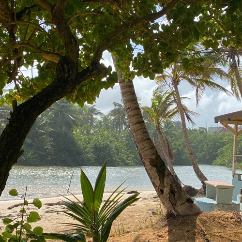 DJ Melania 666 - LOVESICK/ENCOUNTER