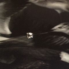 High on Life - J*Davey