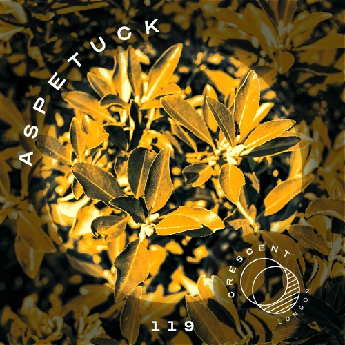 • Crescent Textures #119 • Aspetuck