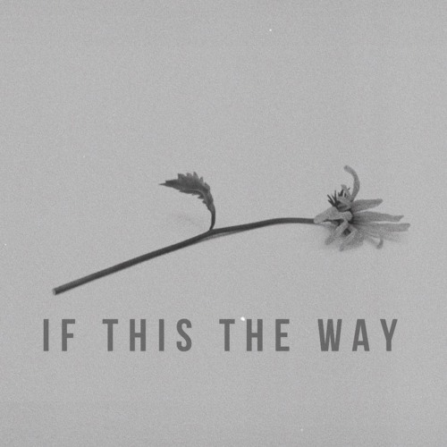 If This the Way
