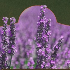 Tales Of The Lavendar Menace
