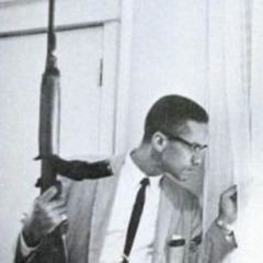 ABG Billy Chicken - 1127