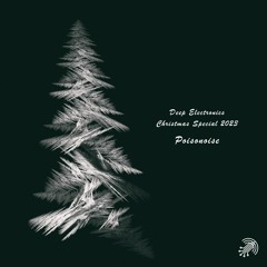 Deep Electronics Christmas Special 2023 - Poisonoise