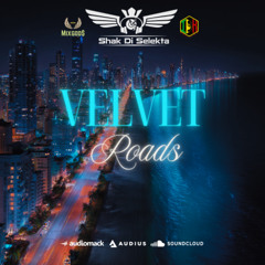 Velvet Roads (Passenger Princess Mash Up)