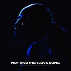 Not Another Love Song (Freestyle)