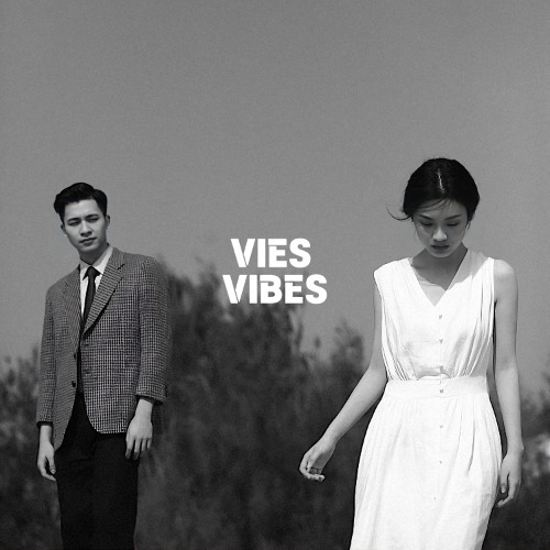 VIES VIBES - You in the Silence