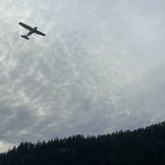 00F Troop - Not A Fan