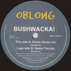 Bushwacka! - Healer (Tek Mix) [Oblong, 1999]