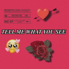 Tell Me What You See