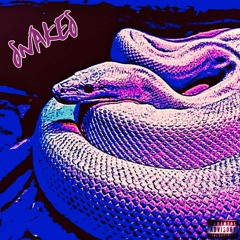 SNAKES (Prod. byalif x cloutlet)