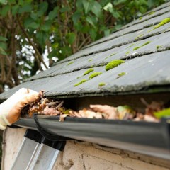 Gutter Cleaning In Burnaby Could Keep Your Home Shining