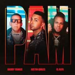Justin Quiles Ft Daddy Yankee & El Alfa - Pam 118Bpm DjVivaEdit Dembow Intro+Outro