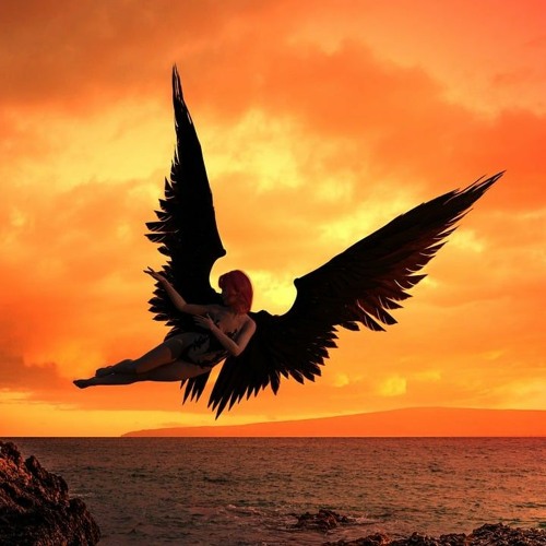 Seven Wings