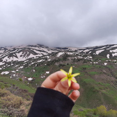 Süheyla Taş-Süphan Dağı