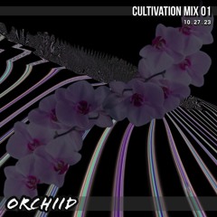 CULTIVATION MIX 01 | 10.27.23